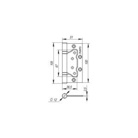 Петля универсальная без врезки IN4200W PN (200-2B 100x2,5) мат. никель (PUNTO)